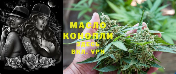 тгк Михайлов