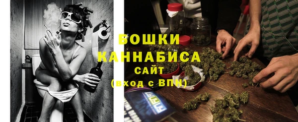 тгк Михайлов